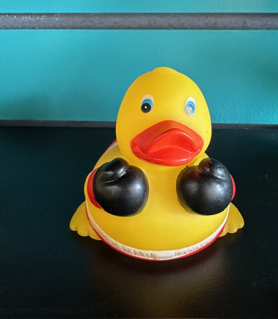 Boxing Rubber Duck